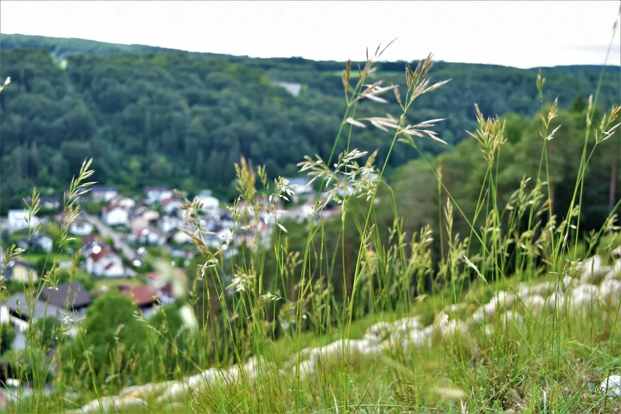 Hotel Zum Braeu Kinding 3*,